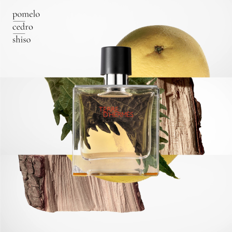 TERRE D'HERMÈS PARFUM