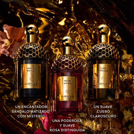 Absolus Allegoria Santal Royal Eau de Parfum