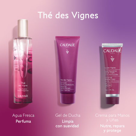 Coffret Thé des Vignes Eau Douce + Cadeaux