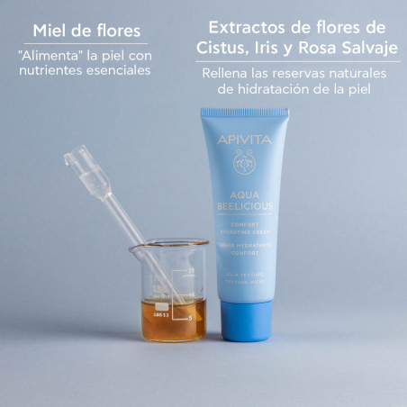 Aqua Beelicious Crème Confort Hydratante