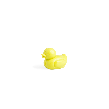 Beauty Items Duck Soap