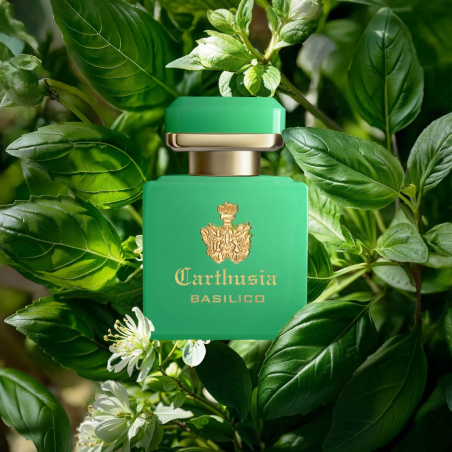 Intenso di Basilico Parfum