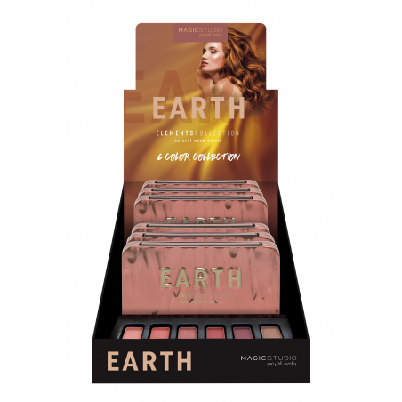 MS EARTH 6 EYESHADOWS PALETTE