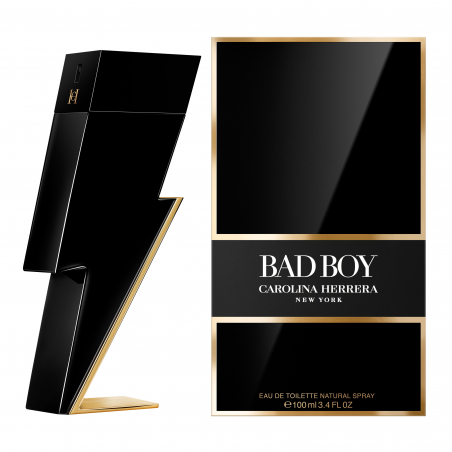 BAD BOY EAU DE TOILETTE V.