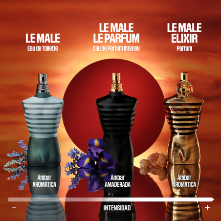 LE MALE LE PARFUM EDP