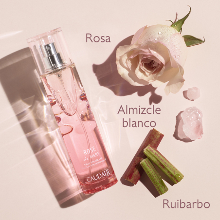 COFRE PASIÓN ROSE DE VIGNE