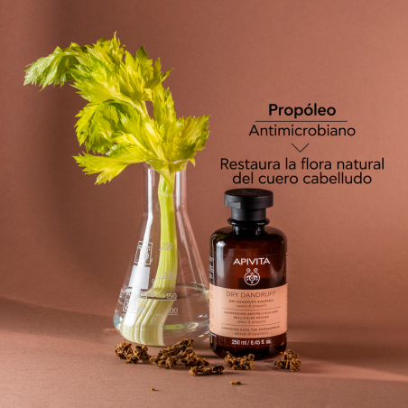 SHAMPOOING ANTIPELLICULAIRE SEC CÉLERI ET PROPOLIS 250ML