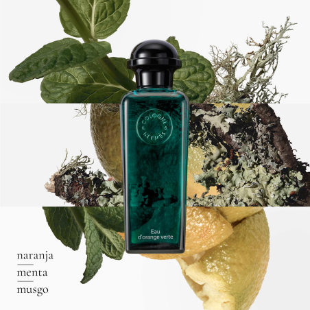 CONCENTRÉ D’ORANGE VERTE EAU DE TOILETTE