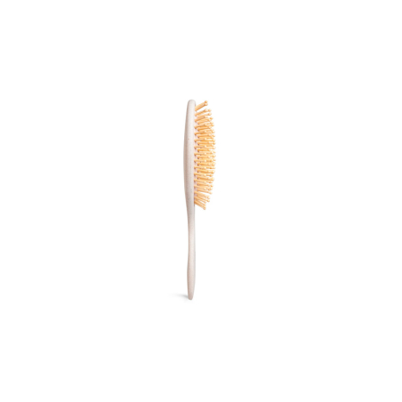 Idc Institute Natural Fiber Cushion Brush