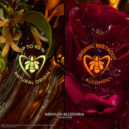 Absolus Allegoria Epices Exquises Eau de Parfum