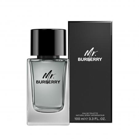 MR BURBERRY EDT V