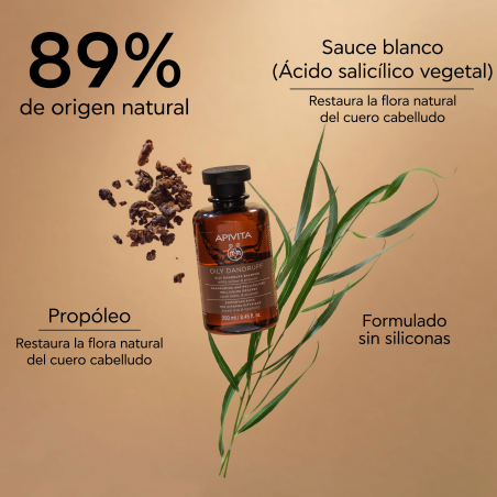 CHAMPÔ ANTICASPA GRAXA SALGUEIRO BRANCO + PROPOLIS 250ML