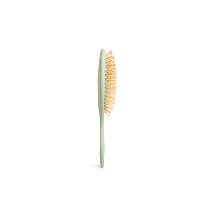 Idc Institute Natural Fiber Cushion Brush