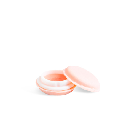 Idc Institute Macaron Lip Balm Assorted