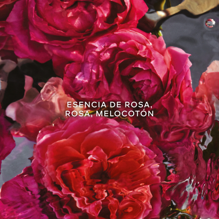 Aqua Allegoria Rosa Rossa Forte Caixa Eau de Parfum