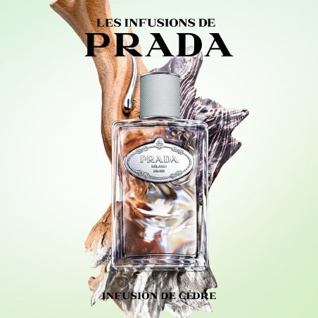 INFUSION DE CÉDRE EAU DE PARFUM