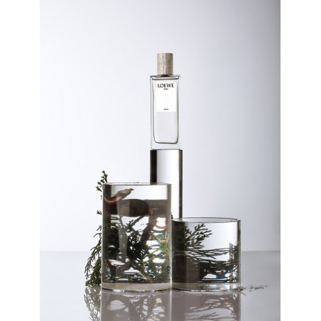 LOEWE 001 MAN EDP