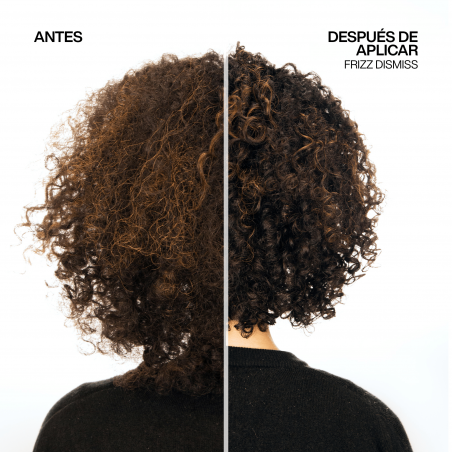 FRIZZ DISMIZZ ANTI STATIC ÓLEO 125ML