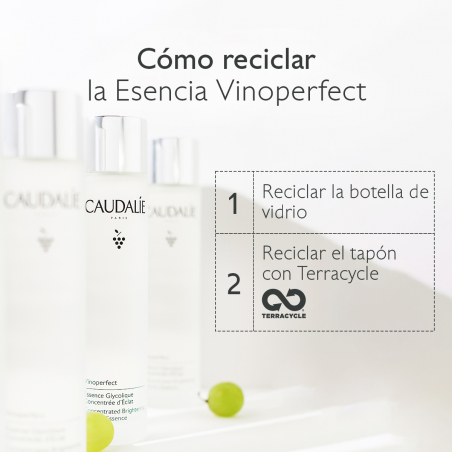 ESSÊNCIA GLICÓLICA DE VINOPERFECT CONCENTRADO